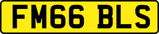FM66BLS