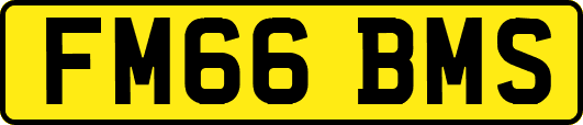 FM66BMS