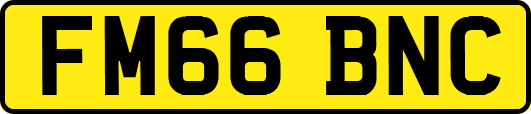 FM66BNC