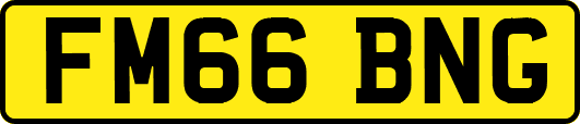 FM66BNG