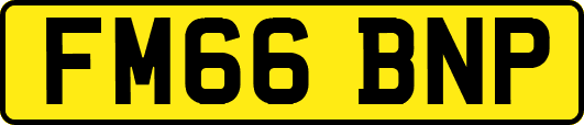 FM66BNP