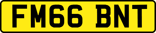 FM66BNT