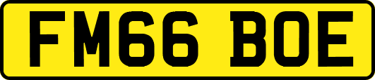 FM66BOE