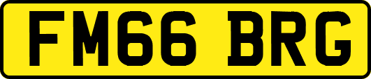 FM66BRG