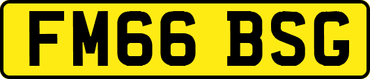 FM66BSG