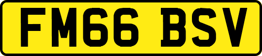 FM66BSV