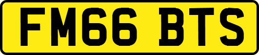 FM66BTS