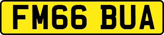 FM66BUA