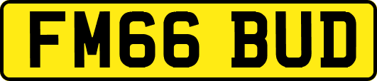 FM66BUD
