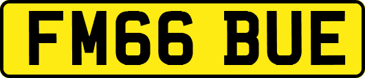FM66BUE