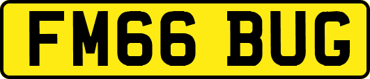 FM66BUG