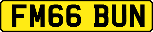 FM66BUN