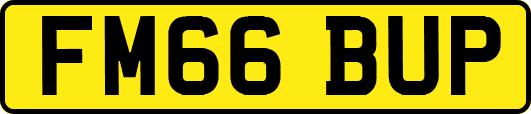 FM66BUP