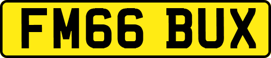 FM66BUX