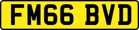 FM66BVD