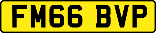 FM66BVP