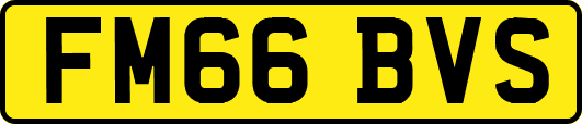 FM66BVS