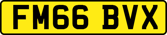 FM66BVX