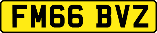 FM66BVZ