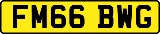 FM66BWG