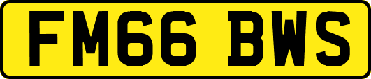 FM66BWS