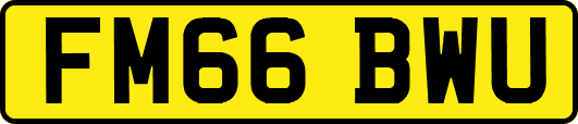 FM66BWU