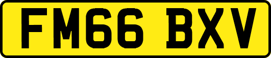 FM66BXV