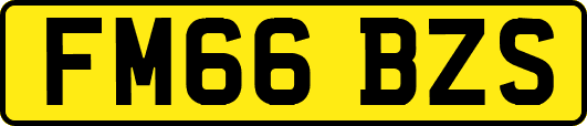 FM66BZS