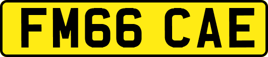 FM66CAE