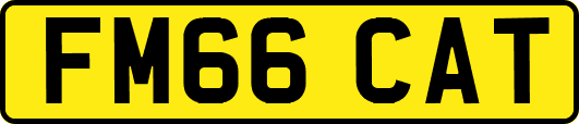 FM66CAT