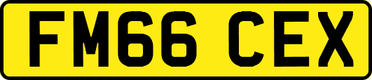 FM66CEX