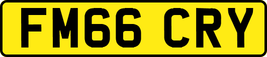 FM66CRY