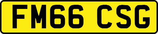 FM66CSG
