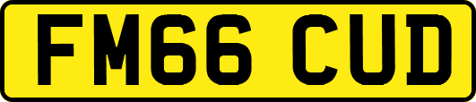 FM66CUD