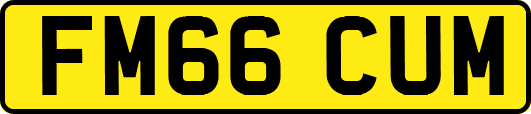 FM66CUM