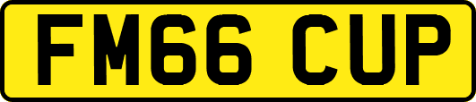 FM66CUP