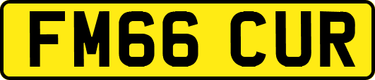 FM66CUR