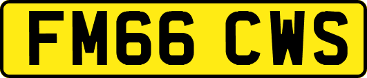 FM66CWS