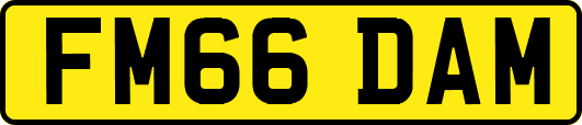 FM66DAM