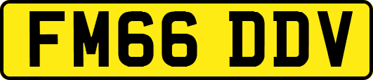 FM66DDV