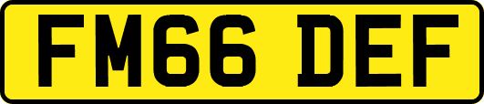 FM66DEF