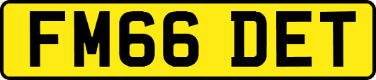 FM66DET