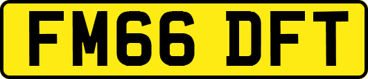 FM66DFT