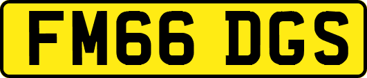 FM66DGS
