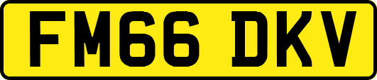 FM66DKV
