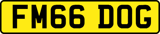 FM66DOG
