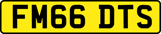 FM66DTS