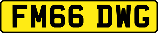 FM66DWG