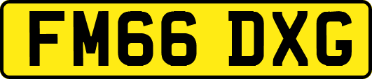 FM66DXG