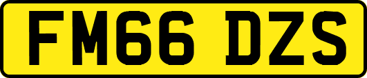 FM66DZS